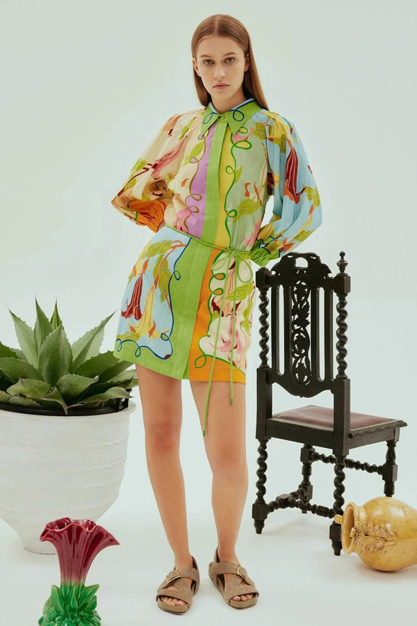Bohemian Spring Long Sleeve Mini Dress