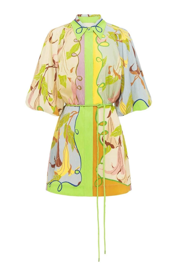 Bohemian Spring Long Sleeve Mini Dress